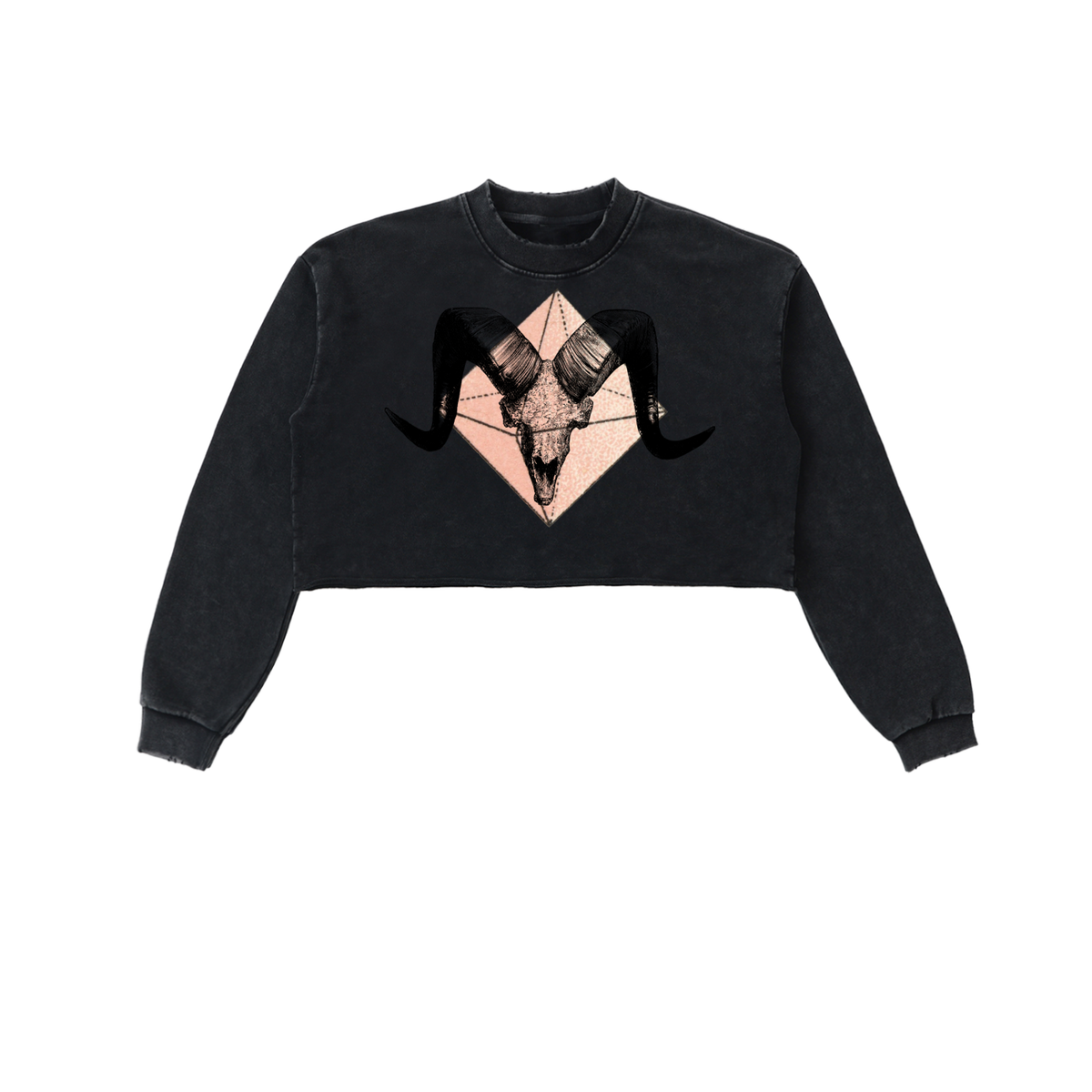 Crystal Ram - Snow Washed Raw Edge Cropped Sweatshirt