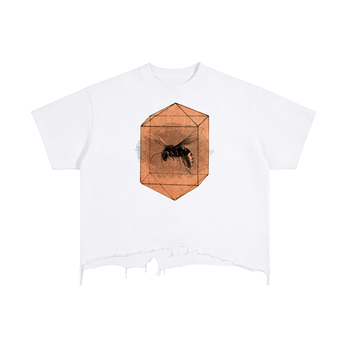 Wasp in Amber - Vintage Wash Boxy Distressed Hem T-Shirt